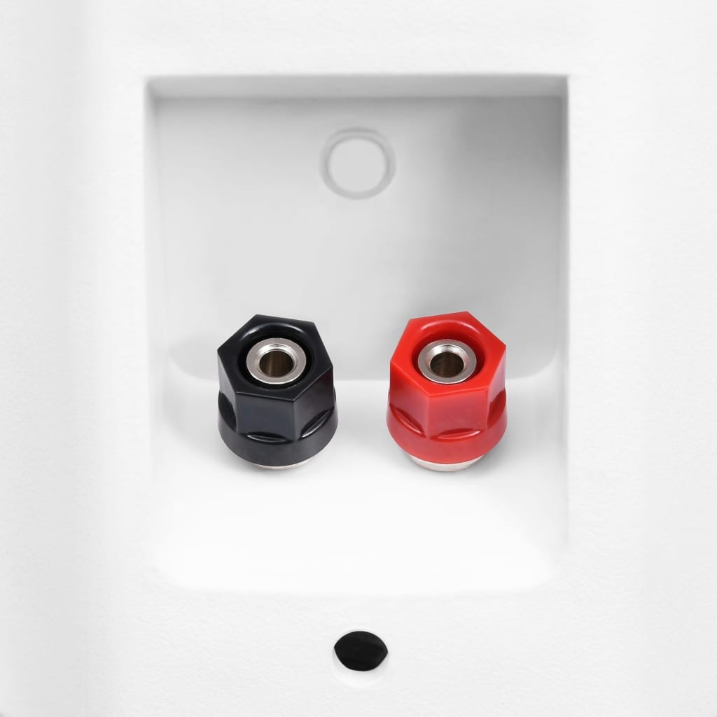 Wall-mounted Stereo Speakers 2 pcs White Indoor Outdoor 100 W